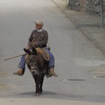 man_donkey01